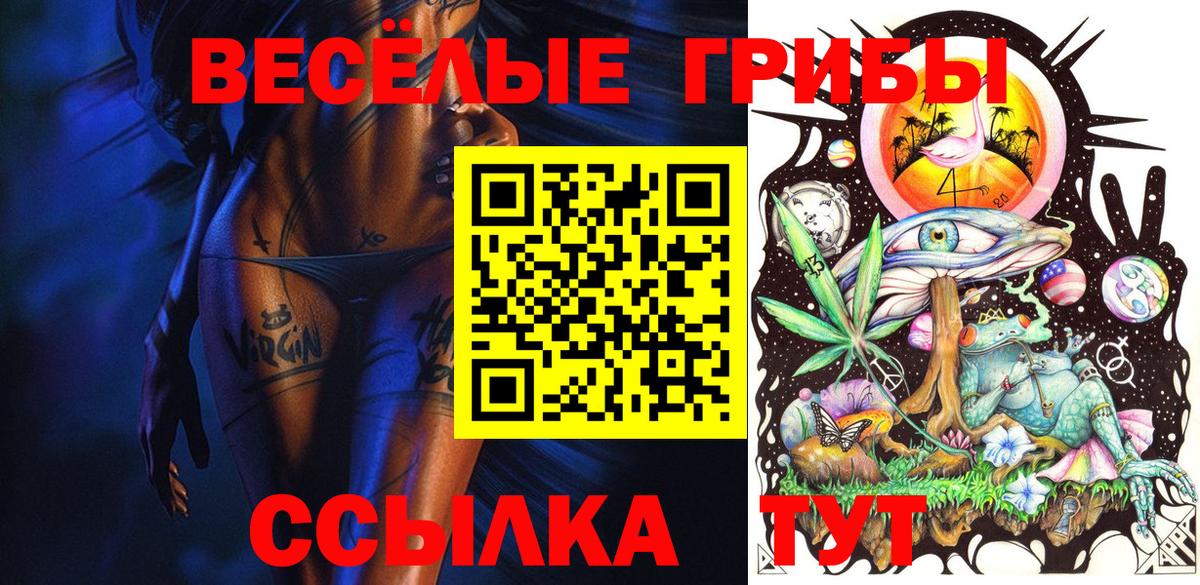 Унеча  Галлюциногенные грибы Psilocybine cubensis  Вход с VPN 