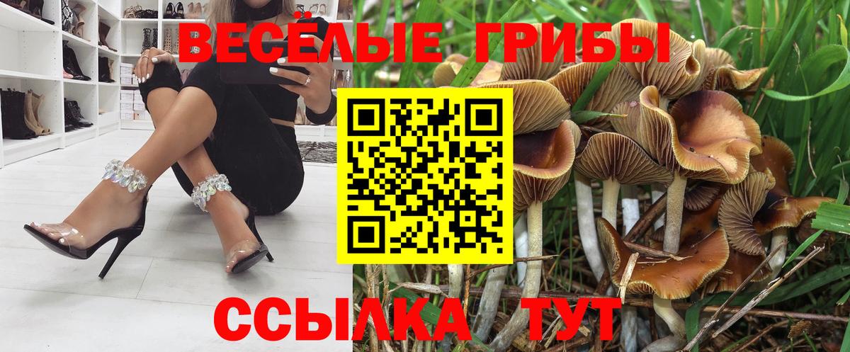 Псилоцибиновые грибы мухоморы Унеча